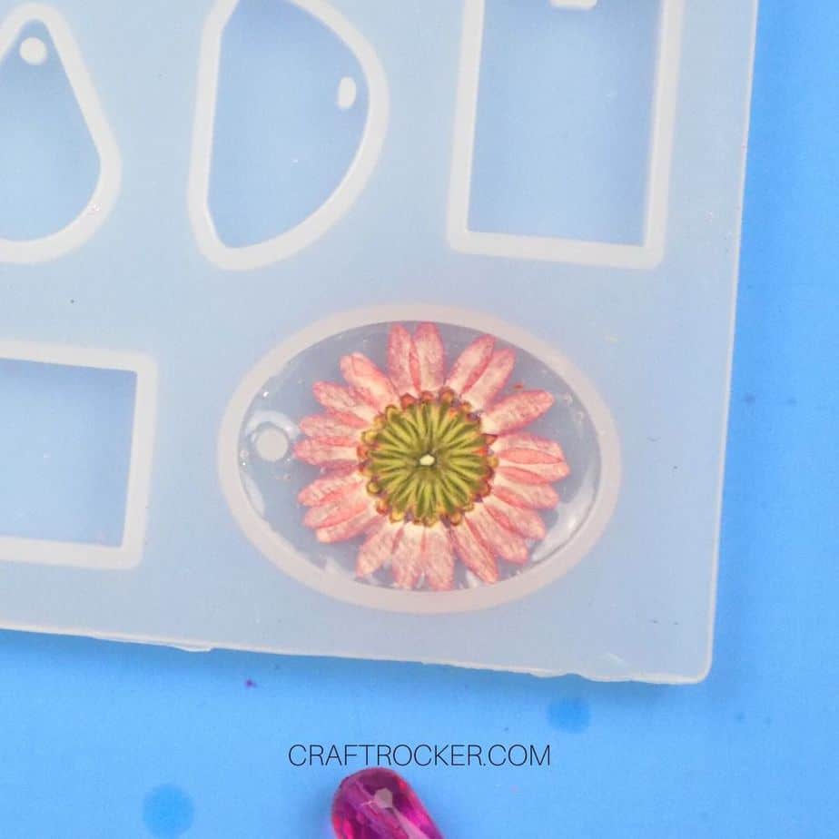 Resin and Dried Flower in Mold - Craft Rocker