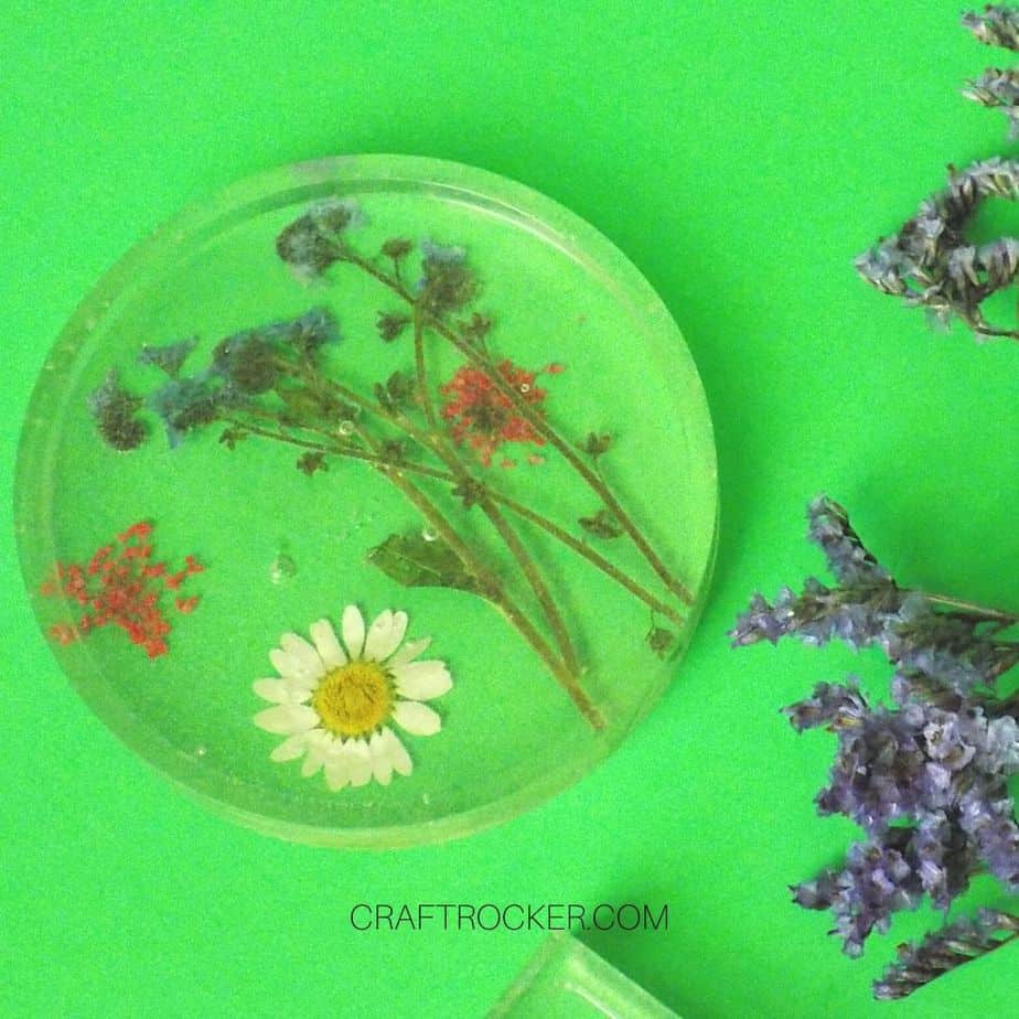 Close Up of Circle Pressed Flower Resin Coaster next to Flowers - Craft Rocker