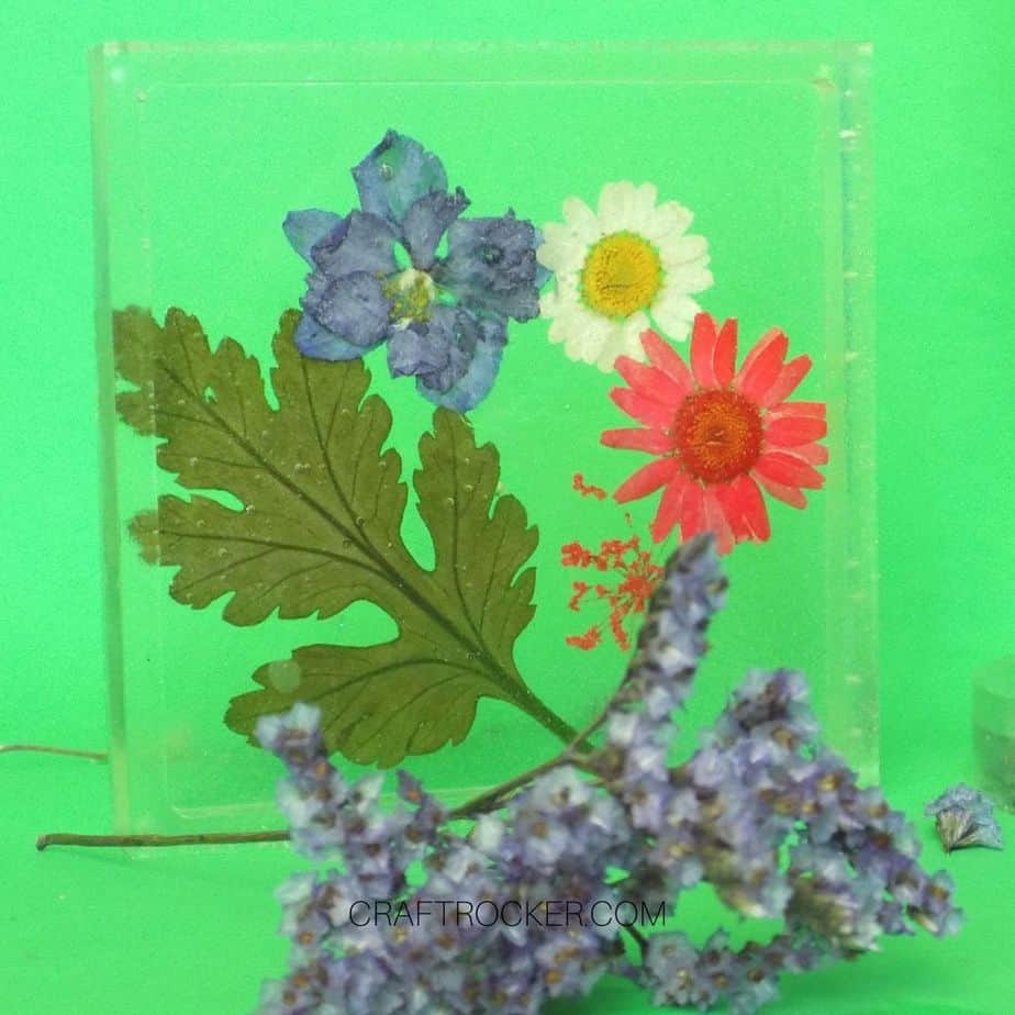 Close up of Square Pressed Flower Resin Coaster - Craft Rocker