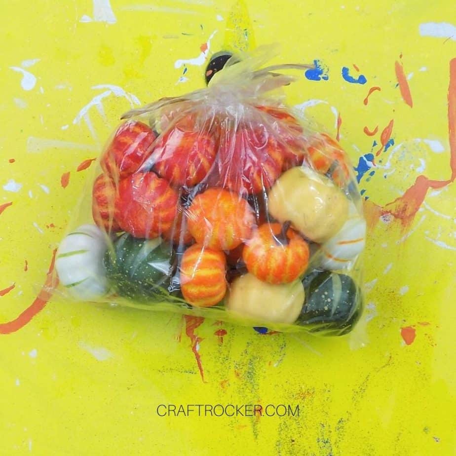 Bag of Mini Pumpkins - Craft Rocker