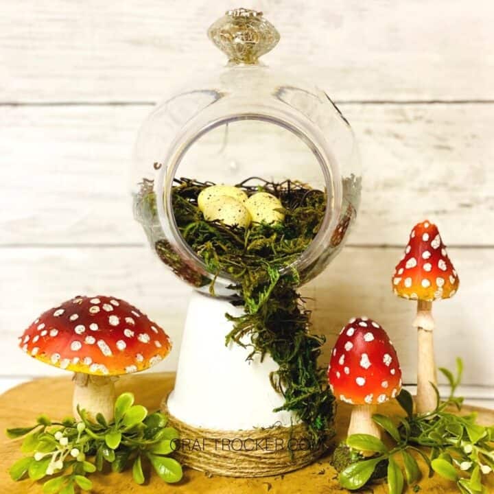 Dollar Tree Terrarium DIY Tutorial Craft Rocker